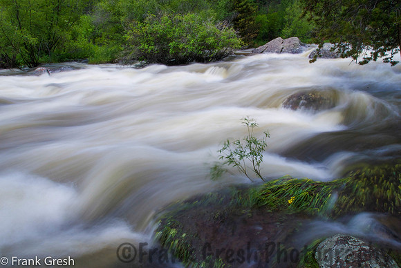 Rocky Mountain National Park Scene