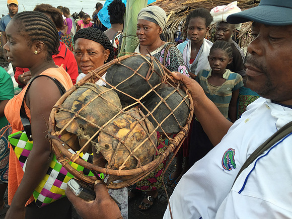 20141011-Congo Mission Trip-20141011-untitled shoot-IMG_3397