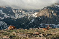 Rocky Mountain National Park Sunrise