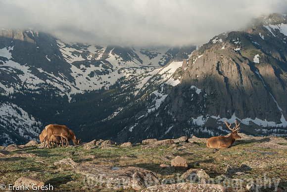 Rocky Mountain National Park Sunrise